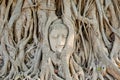 Head of Buddha statue in the tree roots at Wat Mahathat temple, Royalty Free Stock Photo