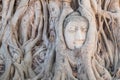 Head of Buddha statue in the tree roots at Wat Mahathat temple, Royalty Free Stock Photo