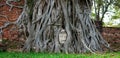 Head of  Buddha statue in the tree roots at Wat Mahathat world heritage, Ayutthaya, Thailand Royalty Free Stock Photo
