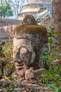 Head Buddha statue in Wat Umong Royalty Free Stock Photo