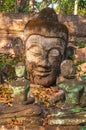 Head Buddha statue in Wat Umong Royalty Free Stock Photo