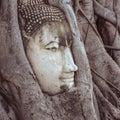 Head of Buddha twined by banyan tree roots - Ayutthaya, Thailand Royalty Free Stock Photo