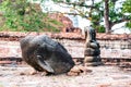 The head of the Buddha was broken from the head. Phra Nakhon Si Ayutthaya Province. Royalty Free Stock Photo