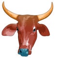 Head of a bull isolated