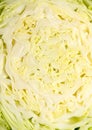Head of cabbage Royalty Free Stock Photo