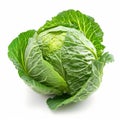 Head of Cabbage Isolated on a White Background, Transparent Food Culinary Object, Organic Vegetables, Raw Leafy Green Veggies Royalty Free Stock Photo