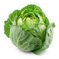 Head of Cabbage Isolated on a White Background, Transparent Food Culinary Object, Organic Vegetables, Raw Leafy Green Veggies Royalty Free Stock Photo