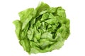 Head cabbage lettuce vegetable top view isolated