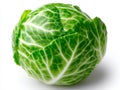 A head of cabbage on a white background Royalty Free Stock Photo