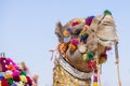 Head of a camel decorated with colorful tassels, necklaces and beads. Desert Festival, Jaisalmer, India Royalty Free Stock Photo
