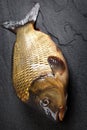 Head carp fish on the surface dark stone.