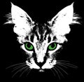 Head of a cat with green eyes. Vector Royalty Free Stock Photo