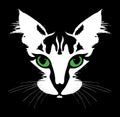 Head of a cat with green eyes. Vector Royalty Free Stock Photo