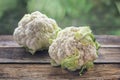 Head of cauliflower closeup Royalty Free Stock Photo