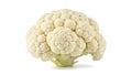 A head of cauliflower on a white background (ai generated) Royalty Free Stock Photo