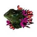 The head of a chameleon in the flowers of orchids and plumeria floral arrangement Royalty Free Stock Photo