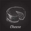 Head of Cheese Hand Drawn Vector Illustration