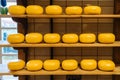 The head of cheese on the shelves of warehouse in netherlands open sky museum Zaanse schans. Production of Dutch cheese