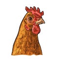 Head Chicken. Vintage vector engraving illustration for poster, web. Isolated on white background