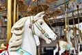 Head of a classic carousel horse Royalty Free Stock Photo