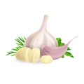 Head and clove of garlic composition