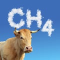Head of cow with CH4 text from clouds at the background.