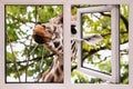 the head of a curious giraffe peeks through an open window