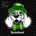 Head of a Dachshund Dog and elements of St. Patricks Day. Vector illustration isolated on dark
