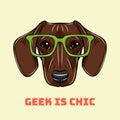 Head Dachshund dog in a geek glasses. Vector