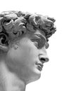 Head of David statue by Michelangelo isolated Royalty Free Stock Photo