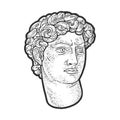 Head of David statue sketch vector illustration