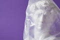 head of david in a transparent plastic bag on a purple background copy space Royalty Free Stock Photo