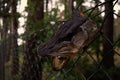 The head of a dead fish suspended from a metal fence in the forest