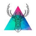Head of a deer with horns in geometric style against a multicolored triangle.
