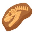 Head dino fossil icon cartoon . Soil mud layer