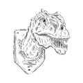 Head dinosaur Royalty Free Stock Photo