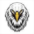 Head eagle design illustration