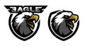 Head of the eagle, sport logo. Two versions.