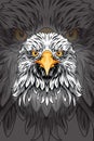 Head eagle bird vector illustration