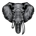 Head Elephant Drawing vector illustrator Royalty Free Stock Photo