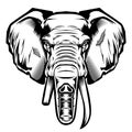 Head Elephant Drawing vector illustrator Royalty Free Stock Photo