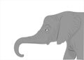 Head elephant illustration