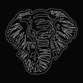 Head of elephant white outline on black background Royalty Free Stock Photo