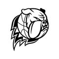 Head of English Bulldog or British Bulldog Basketball Ball on Fire Blazing Mascot Black and White
