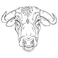 Head of an evil bull with a ring in its nose Royalty Free Stock Photo