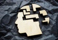 The head falls apart into puzzle pieces. Mental illness or memory problems. Royalty Free Stock Photo