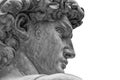 Head of a famous statue by Michelangelo - David from Florence, isolated on white Royalty Free Stock Photo