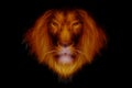 Head of fire lion Royalty Free Stock Photo