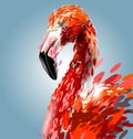 Head of flamingo. Vector illustration