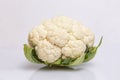 A head of fresh cauliflower. Healthy eating and vegetarianism. Close-up. White background Royalty Free Stock Photo